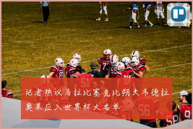 记者热议马拉比塞克比朔夫韦德拉奥果应入世界杯大名单
